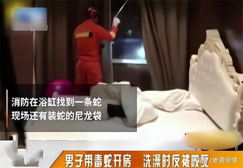 新胁迫2在线观看,在线揭秘危机四伏的惊悚世界